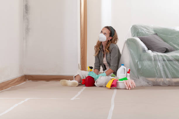 Reliable Mold Remediation contractor in Cameron, TX by 24 Hour Mold Removal